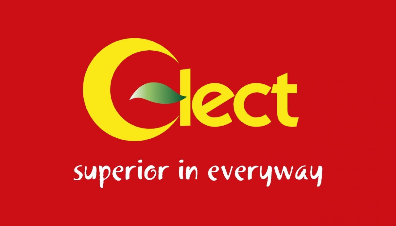 ClectLogo