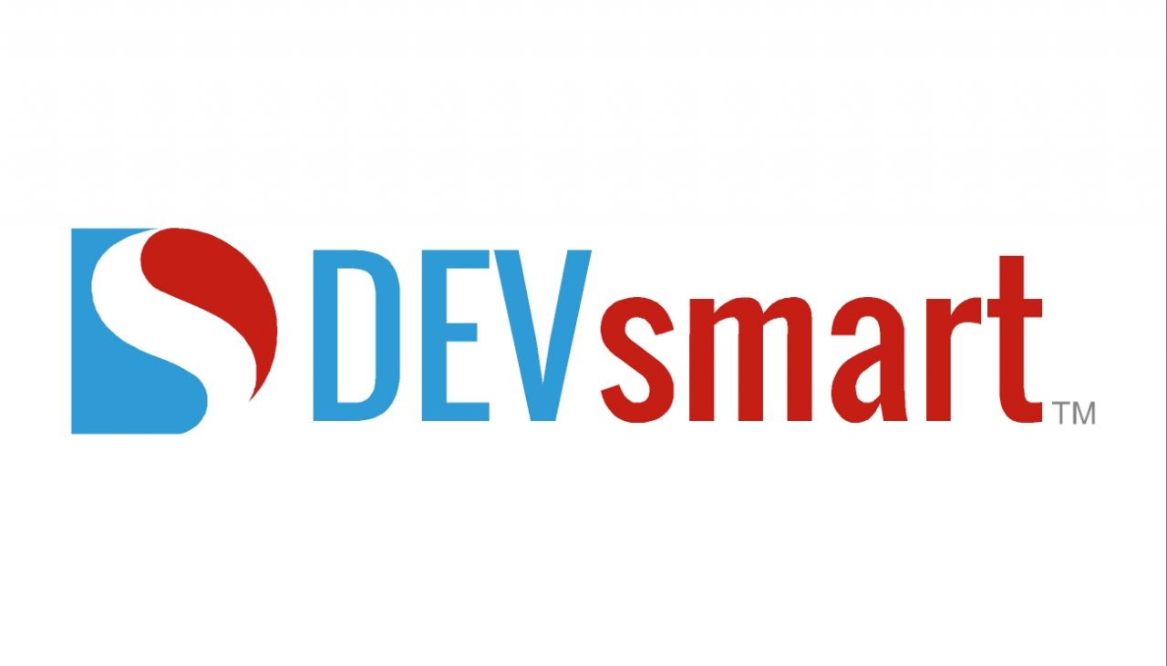 DevSmartLogo