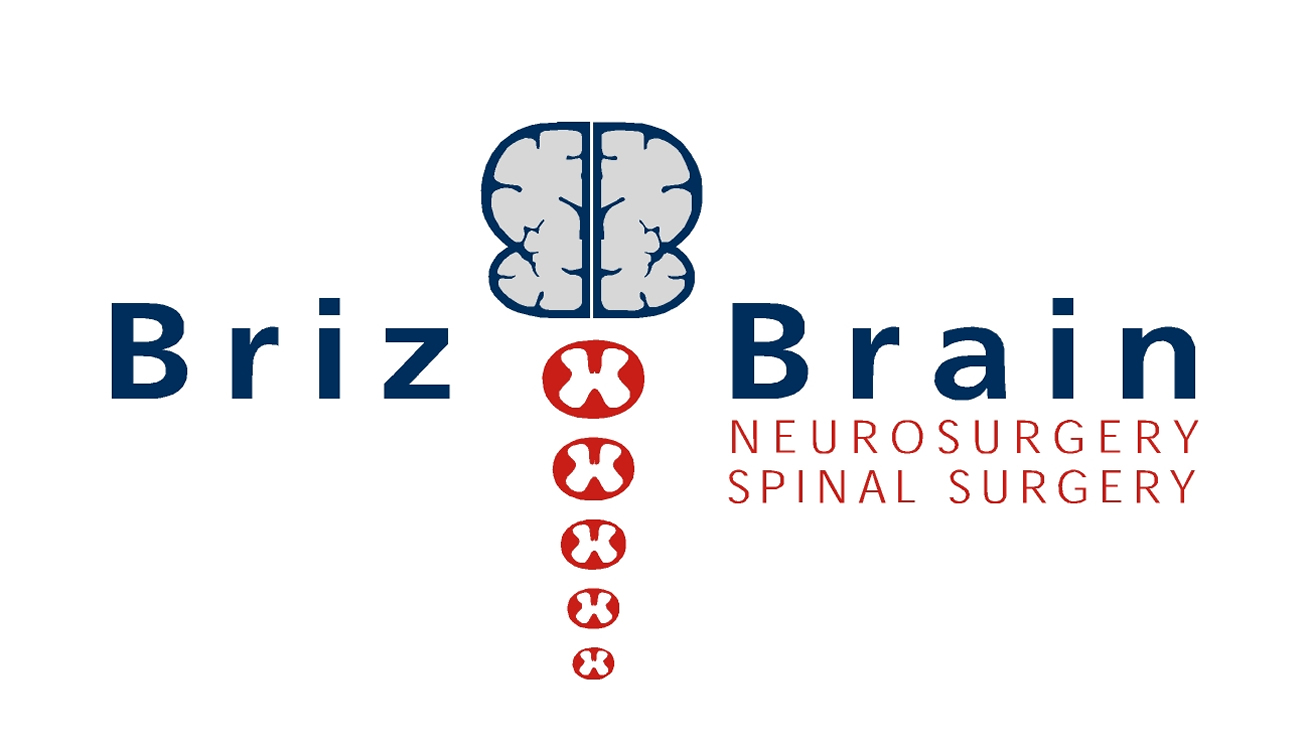 BrizBrain Logo