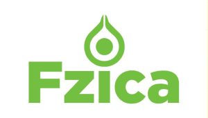 Fzica